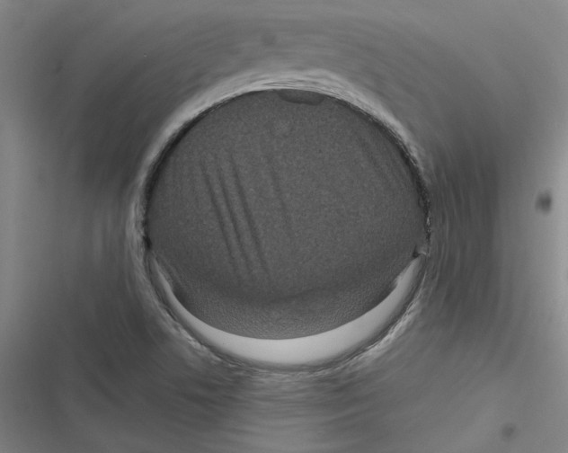 X0000116771506201001141440