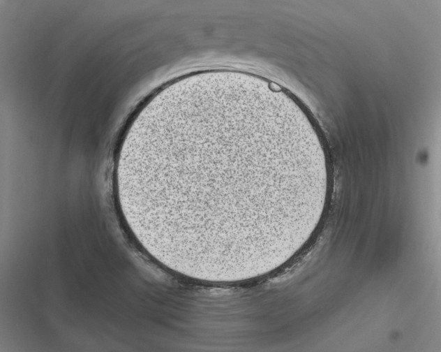 X0000116771507201001141440