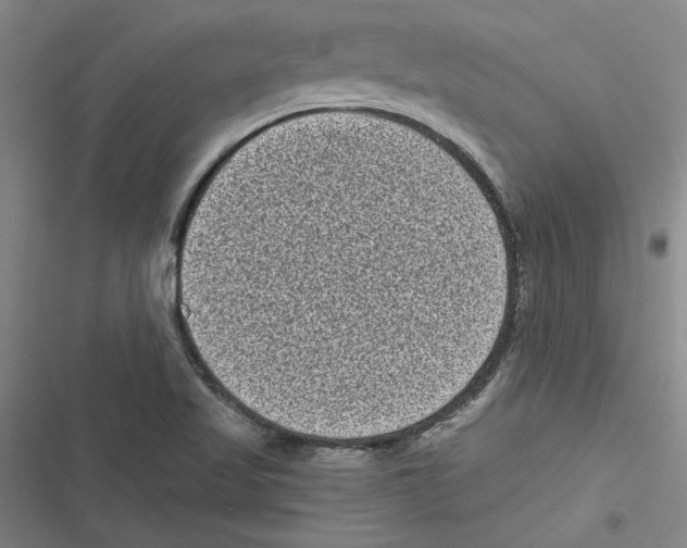 X0000116771509201001141440