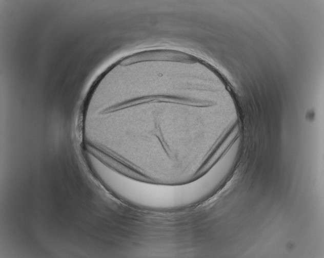 X0000116771510201001141440