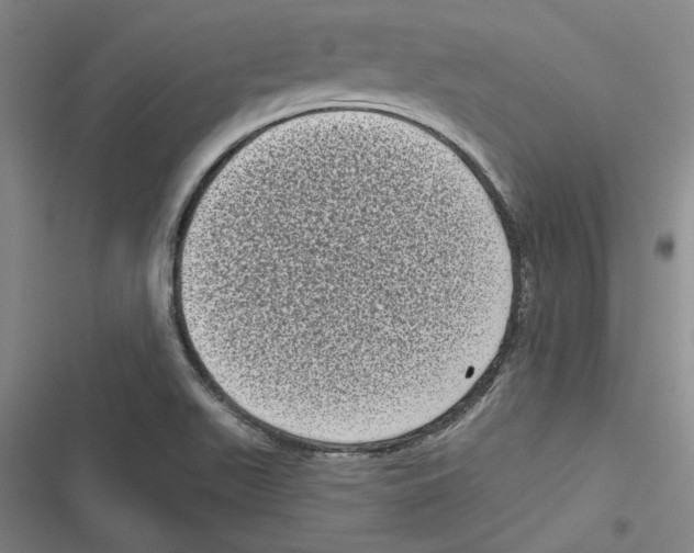X0000116771511201001141440