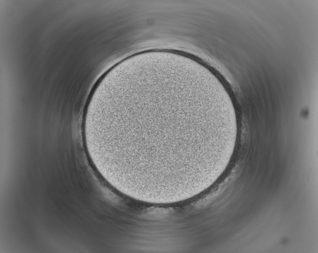 X0000116771513201001141440
