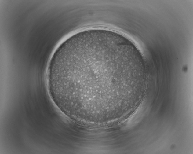 X0000116771514201001141440