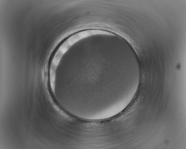 X0000116771515201001141440