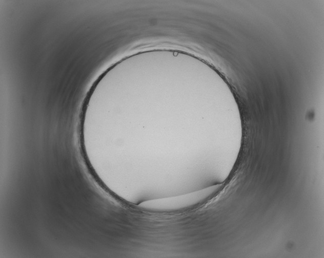 X0000116771518201001141440