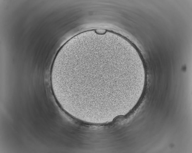 X0000116771521201001141440