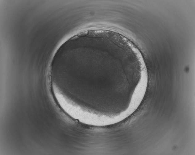 X0000116771522201001141440