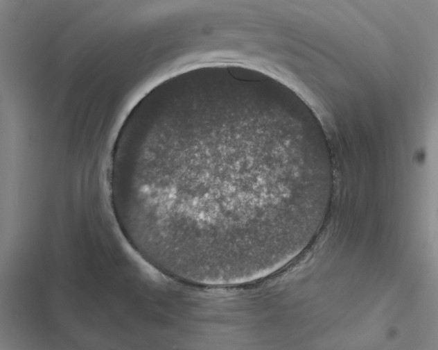 X0000116771527201001141440