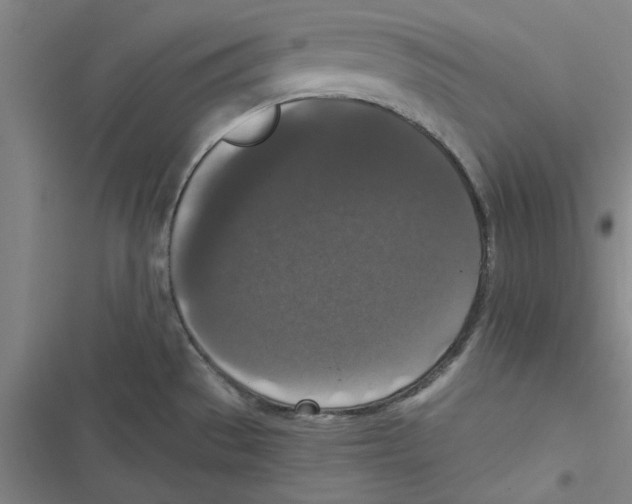 X0000116771529201001141440