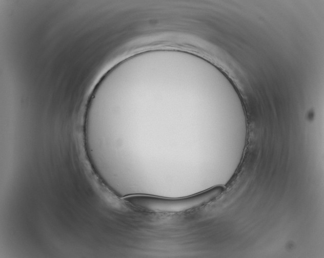 X0000116771530201001141440