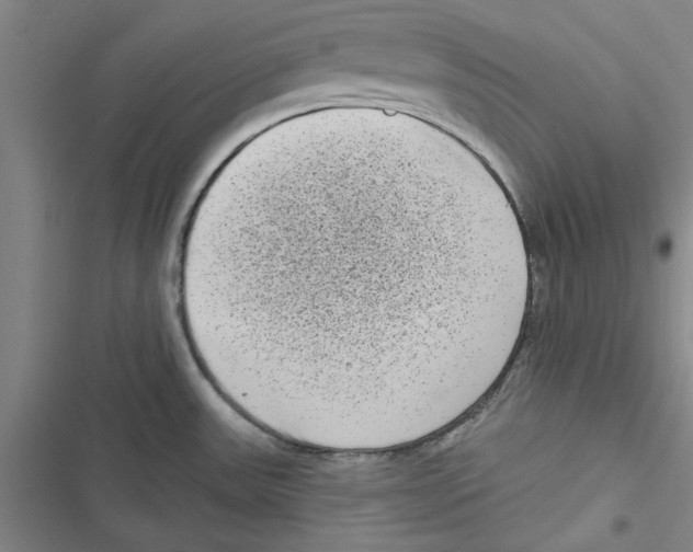 X0000116771531201001141440