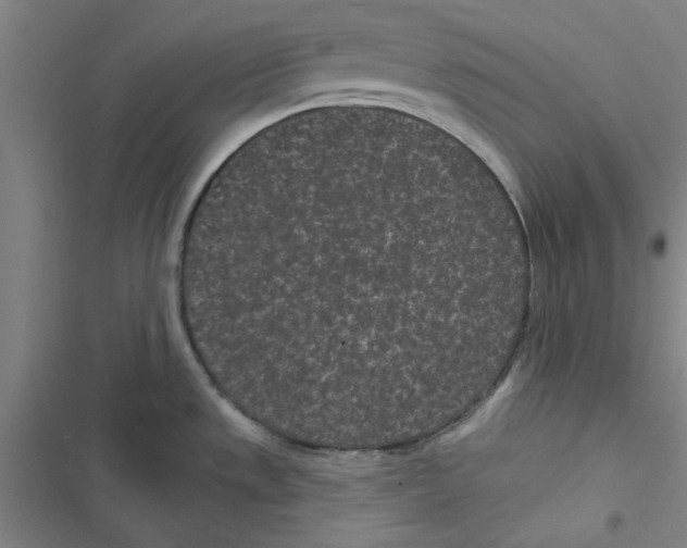 X0000116771533201001141440
