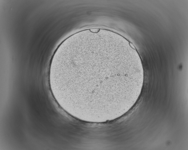 X0000116771534201001141440