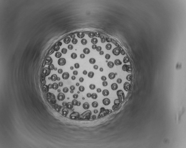 X0000116770001201001281643