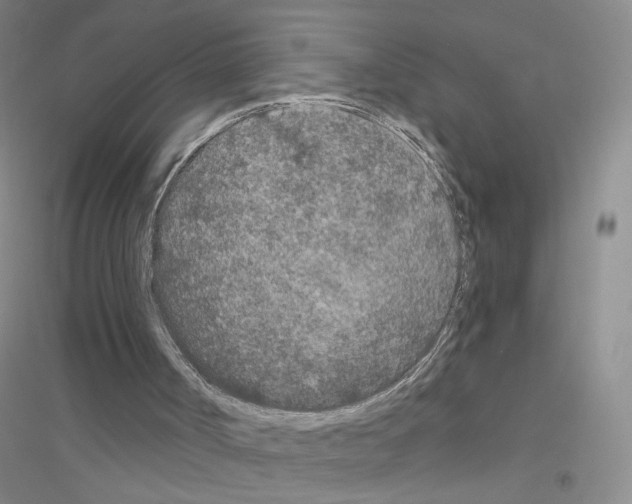 X0000116770002201001281643