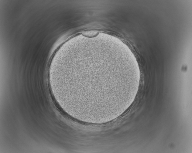 X0000116770004201001281643
