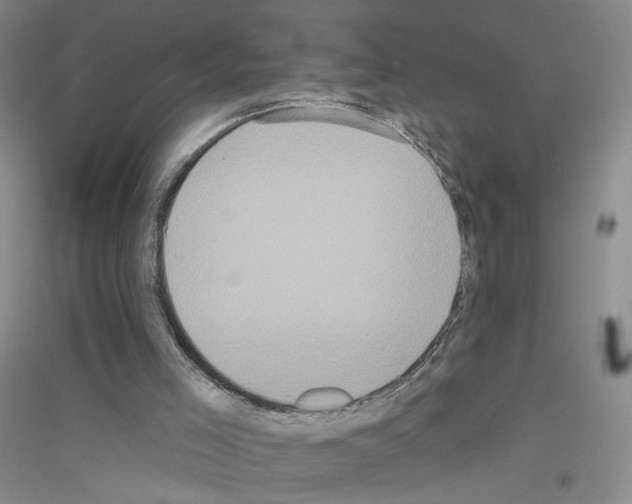 X0000116770005201001281643