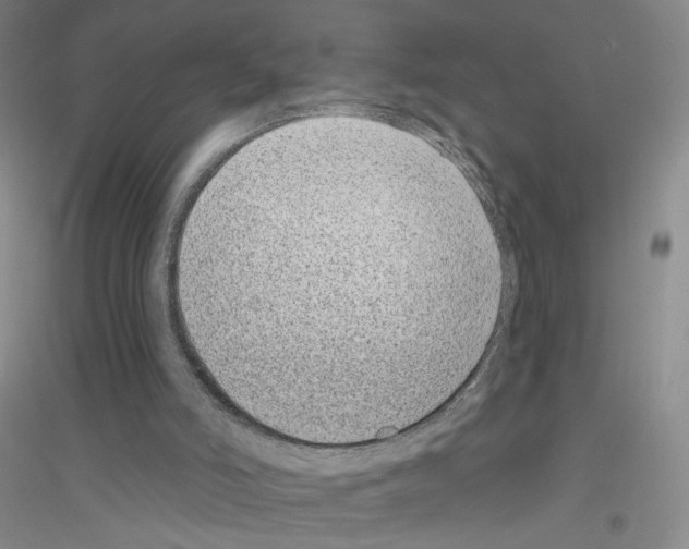 X0000116770006201001281643