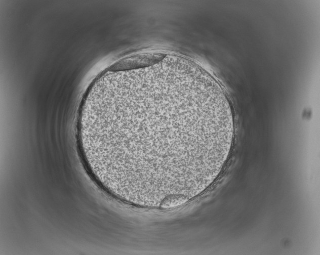 X0000116770007201001281643