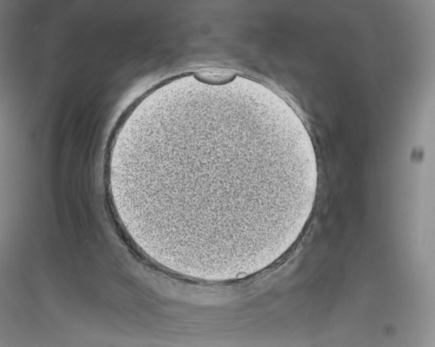 X0000116770008201001281643