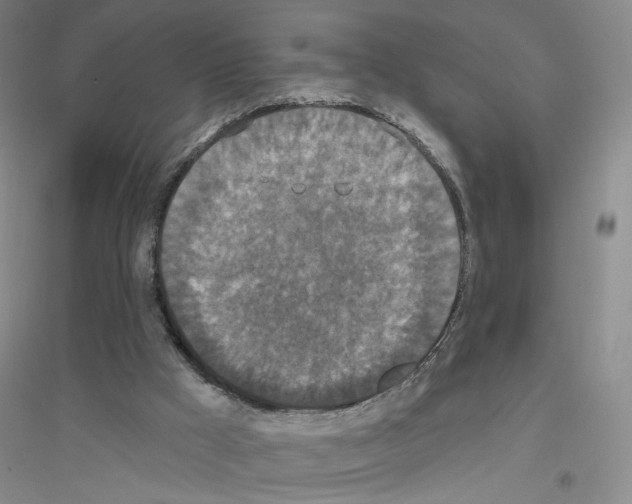X0000116770009201001281643