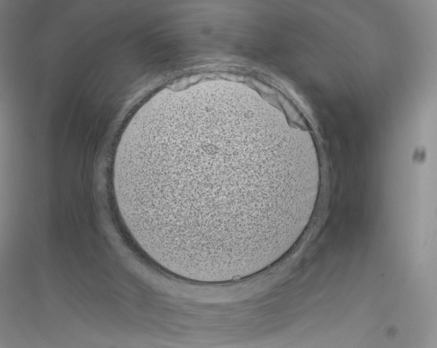 X0000116770010201001281643