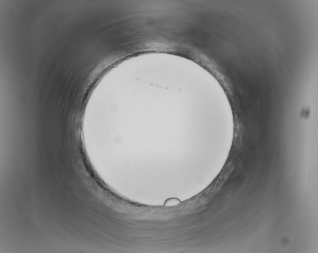 X0000116770011201001281643