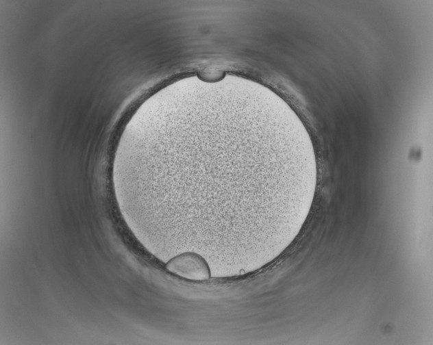 X0000116770012201001281643