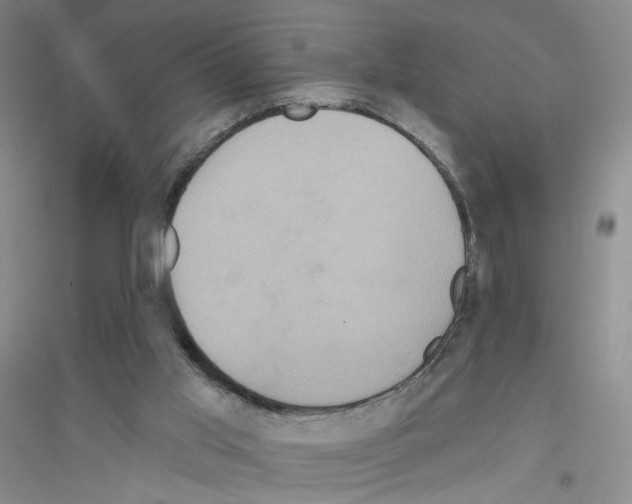 X0000116770013201001281643