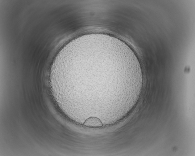 X0000116770014201001281643