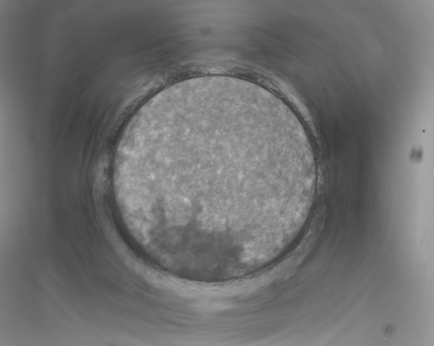 X0000116770018201001281642