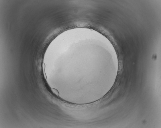 X0000116770019201001281642