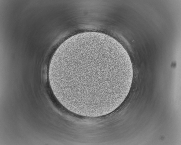 X0000116770020201001281642