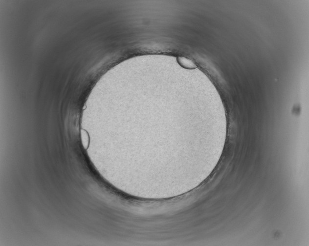 X0000116770021201001281642