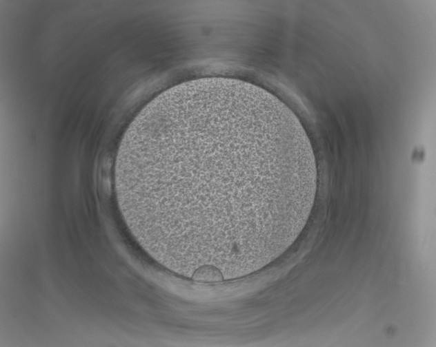 X0000116770022201001281642