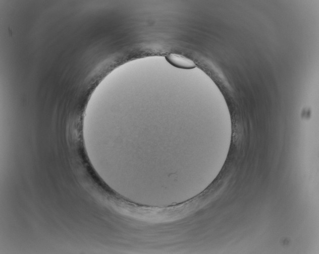 X0000116770023201001281642