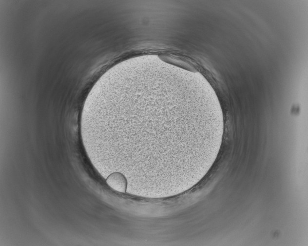 X0000116770024201001281642