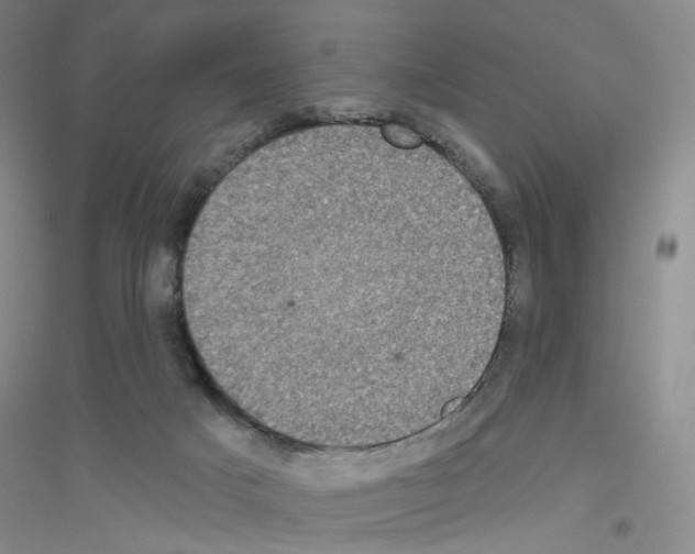 X0000116770025201001281642