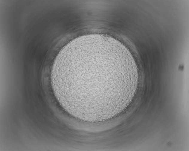 X0000116770026201001281642