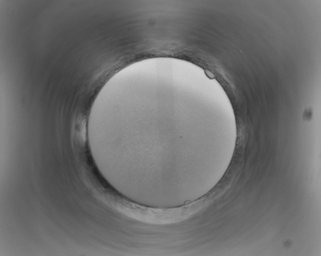 X0000116770027201001281642