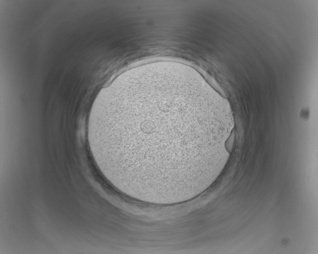 X0000116770028201001281642