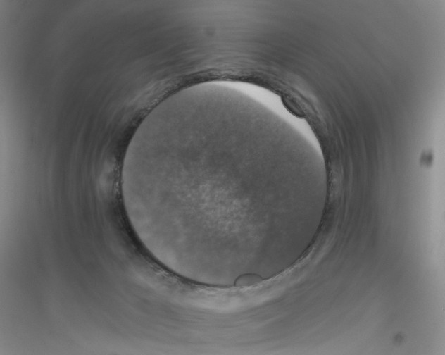 X0000116770029201001281642