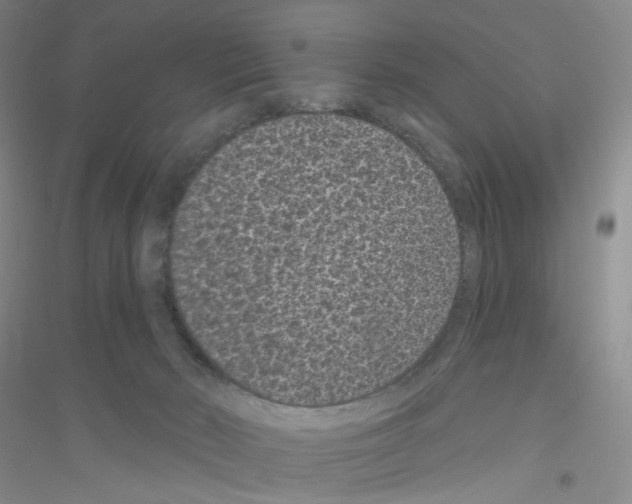 X0000116770030201001281642