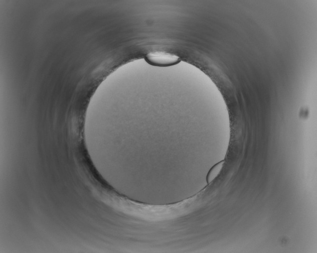 X0000116770031201001281642