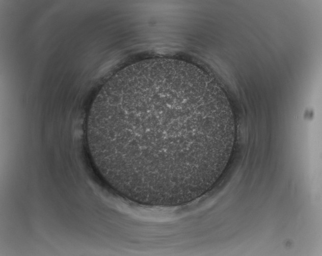 X0000116770032201001281642