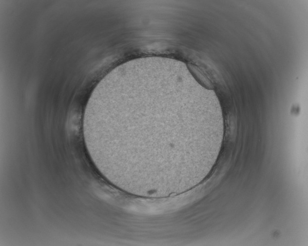 X0000116770033201001281642