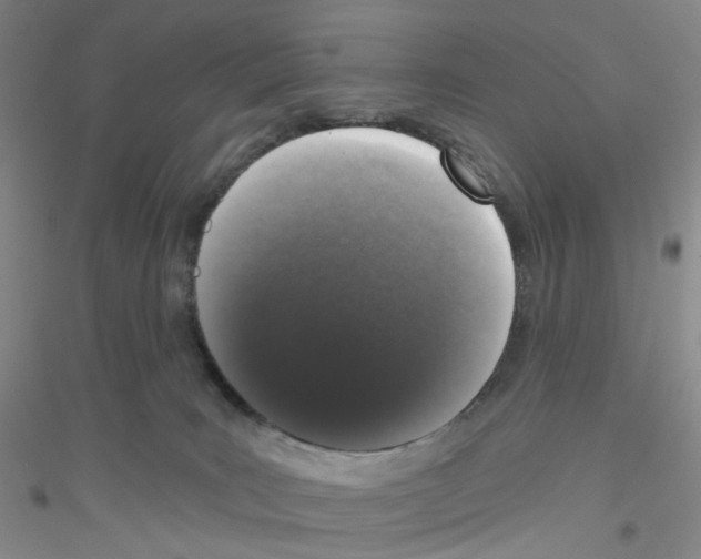 X0000116770035201001281642