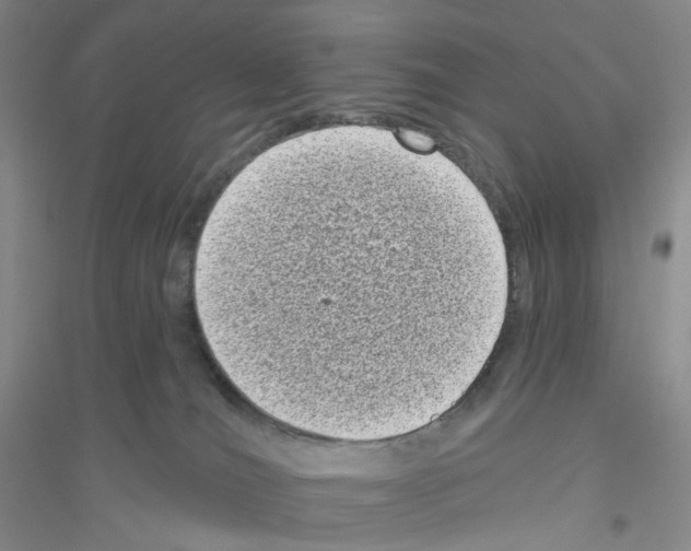 X0000116770036201001281642