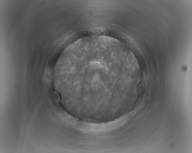 X0000116770037201001281642