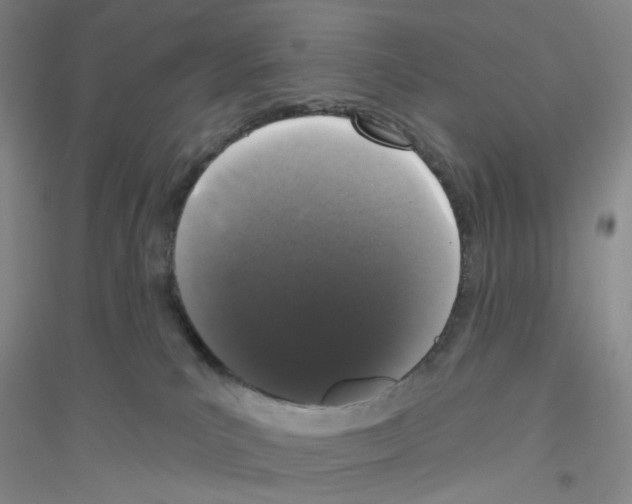 X0000116770039201001281642